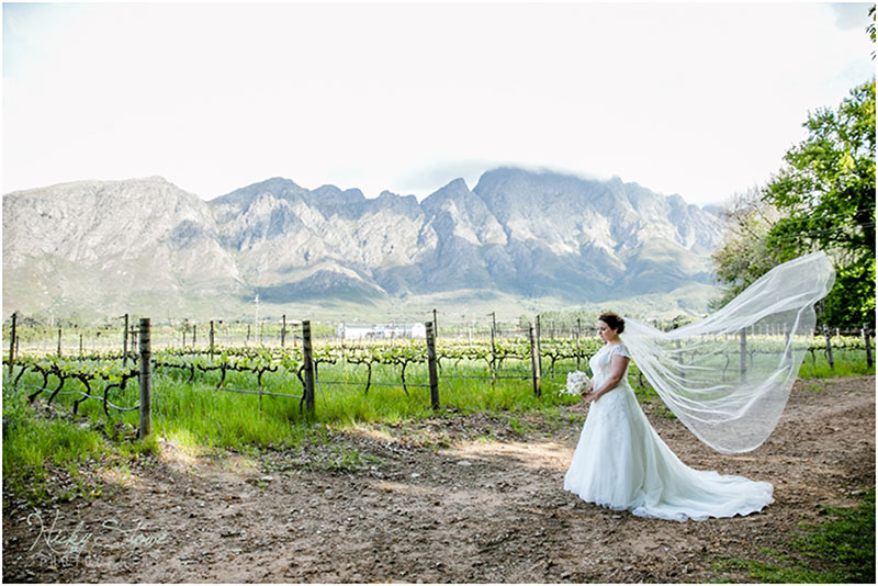 Lauren & Corné: Holden Manz, Franschhoek - Blank Canvas